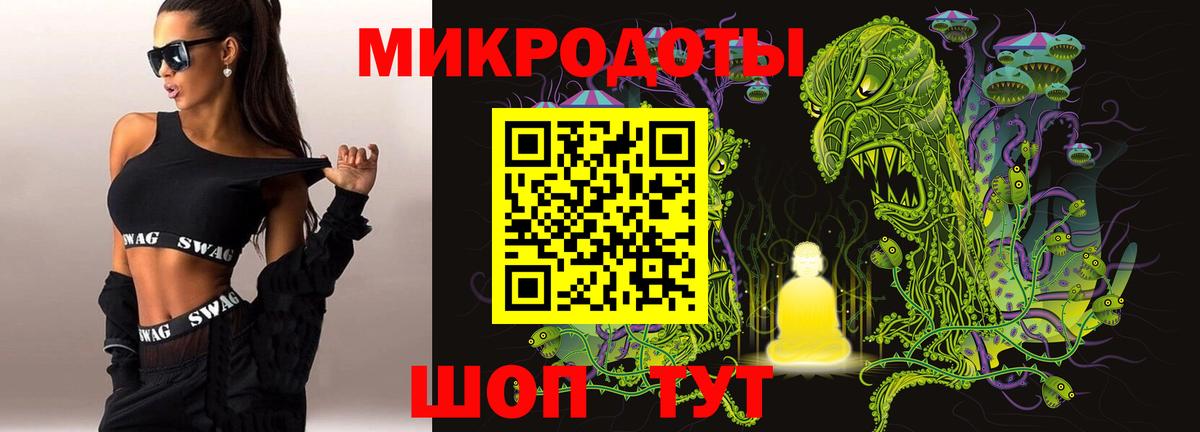 Ефремов  Галлюциногенные грибы Magic Shrooms  где продают наркотики  Вход с VPN 